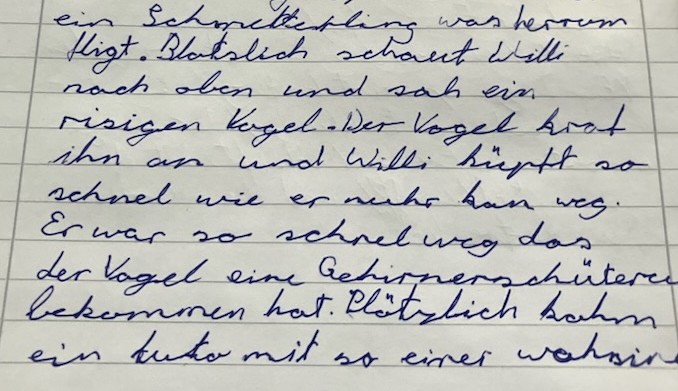 sehr viele Fehler können ein Anzeichen für LRS sein